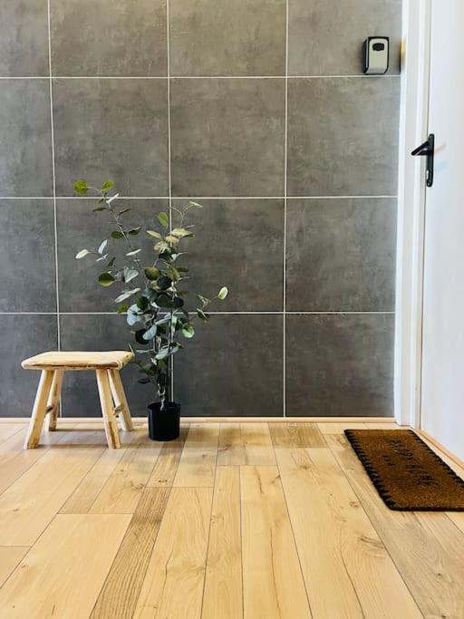 Studio Girafe, Style Boheme Et Atypique, Curistes Luxeuil-les-Bains Εξωτερικό φωτογραφία
