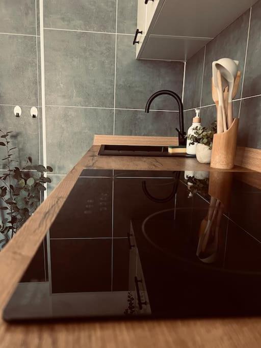 Studio Girafe, Style Boheme Et Atypique, Curistes Luxeuil-les-Bains Εξωτερικό φωτογραφία